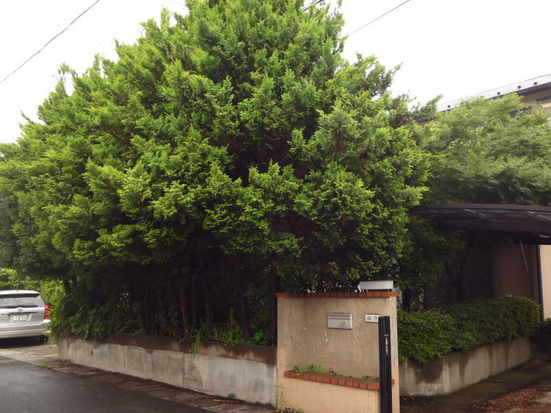 広栄産業 エクステリア ガーデンリフォーム 小山市 栃木県 茨木県 古河市 ガーデン工事 外構工事 野木町 佐野市 下都賀郡