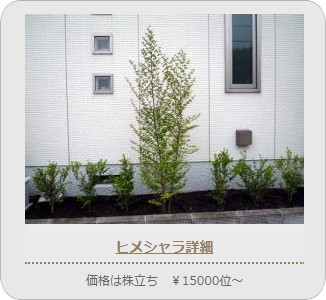 小山市,間々田,エクステリア,ガーデニング,ガーデン,外構工事,野木町,古河市,栃木市,佐野市,下都賀郡,リフォーム,ブロック工事,造園工事