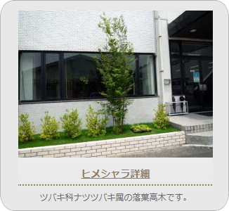 小山市,間々田,エクステリア,ガーデニング,ガーデン,外構工事,野木町,古河市,栃木市,佐野市,下都賀郡,リフォーム,ブロック工事,造園工事