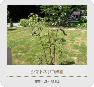 小山市,間々田,エクステリア,ガーデニング,ガーデン,外構工事,野木町,古河市,栃木市,佐野市,下都賀郡,リフォーム,ブロック工事,造園工事