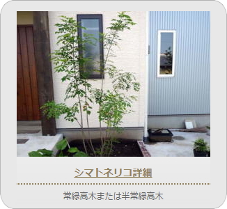 小山市,間々田,エクステリア,ガーデニング,ガーデン,外構工事,野木町,古河市,栃木市,佐野市,下都賀郡,リフォーム,ブロック工事,造園工事