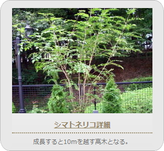 小山市,間々田,エクステリア,ガーデニング,ガーデン,外構工事,野木町,古河市,栃木市,佐野市,下都賀郡,リフォーム,ブロック工事,造園工事