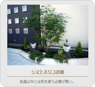 小山市,間々田,エクステリア,ガーデニング,ガーデン,外構工事,野木町,古河市,栃木市,佐野市,下都賀郡,リフォーム,ブロック工事,造園工事