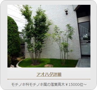 小山市,間々田,エクステリア,ガーデニング,ガーデン,外構工事,野木町,古河市,栃木市,佐野市,下都賀郡,リフォーム,ブロック工事,造園工事