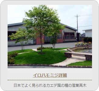 小山市,間々田,エクステリア,ガーデニング,ガーデン,外構工事,野木町,古河市,栃木市,佐野市,下都賀郡,リフォーム,ブロック工事,造園工事