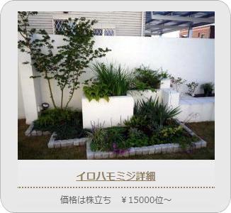 小山市,間々田,エクステリア,ガーデニング,ガーデン,外構工事,野木町,古河市,栃木市,佐野市,下都賀郡,リフォーム,ブロック工事,造園工事