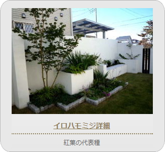 小山市,間々田,エクステリア,ガーデニング,ガーデン,外構工事,野木町,古河市,栃木市,佐野市,下都賀郡,リフォーム,ブロック工事,造園工事