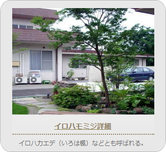 小山市,間々田,エクステリア,ガーデニング,ガーデン,外構工事,野木町,古河市,栃木市,佐野市,下都賀郡,リフォーム,ブロック工事,造園工事