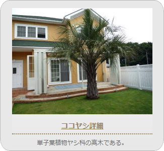 小山市,間々田,エクステリア,ガーデニング,ガーデン,外構工事,野木町,古河市,栃木市,佐野市,下都賀郡,リフォーム,ブロック工事,造園工事