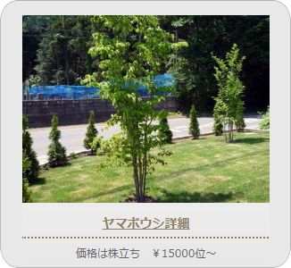 小山市,間々田,エクステリア,ガーデニング,ガーデン,外構工事,野木町,古河市,栃木市,佐野市,下都賀郡,リフォーム,ブロック工事,造園工事