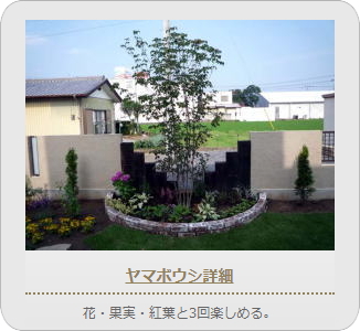 小山市,間々田,エクステリア,ガーデニング,ガーデン,外構工事,野木町,古河市,栃木市,佐野市,下都賀郡,リフォーム,ブロック工事,造園工事