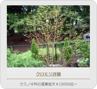 小山市,間々田,エクステリア,ガーデニング,ガーデン,外構工事,野木町,古河市,栃木市,佐野市,下都賀郡,リフォーム,ブロック工事,造園工事