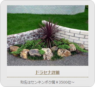 小山市,間々田,エクステリア,ガーデニング,ガーデン,外構工事,野木町,古河市,栃木市,佐野市,下都賀郡,リフォーム,ブロック工事,造園工事