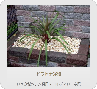 小山市,間々田,エクステリア,ガーデニング,ガーデン,外構工事,野木町,古河市,栃木市,佐野市,下都賀郡,リフォーム,ブロック工事,造園工事