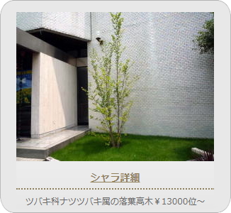 小山市,間々田,エクステリア,ガーデニング,ガーデン,外構工事,野木町,古河市,栃木市,佐野市,下都賀郡,リフォーム,ブロック工事,造園工事