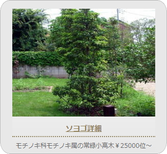 小山市,間々田,エクステリア,ガーデニング,ガーデン,外構工事,野木町,古河市,栃木市,佐野市,下都賀郡,リフォーム,ブロック工事,造園工事